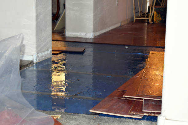 Professional Water Damage Restoration technician working in Endicott, WA